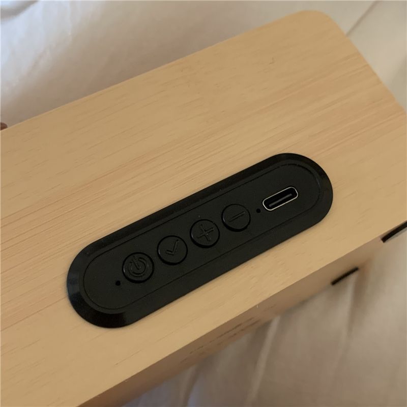 Draadloze draagbare zangstudent met Bluetooth-audio_voghion.com