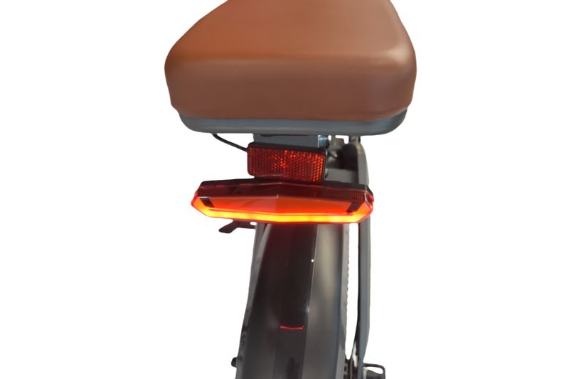 DYU M20 Elektro-Dirtbike 20 Zoll mit 48 V 18,2 Ah Batterie_voghion.com