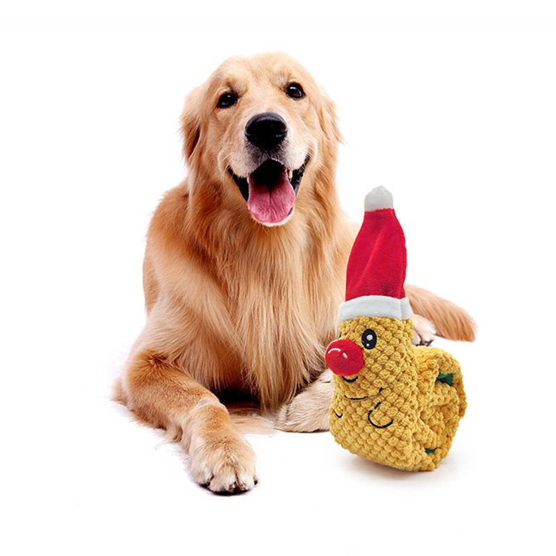 Forrageamento Instinct Treinamento Squeak Dog Toys_voghion.com