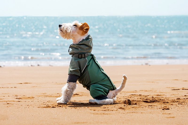 Dog Four-Legged Raincoat Waterproof Wear-Resistant Lightweight Jacket Pet-Specific Rainy Day Full Coverage Windproof Pet_voghion.com