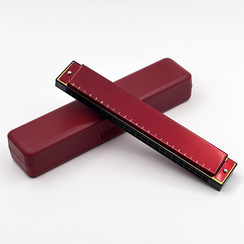 Chimei Little Doctor Children's 24 Holes Beginner Adult Student Classroom Use Entry-Level Performance C Key Polyphonic_voghion.com