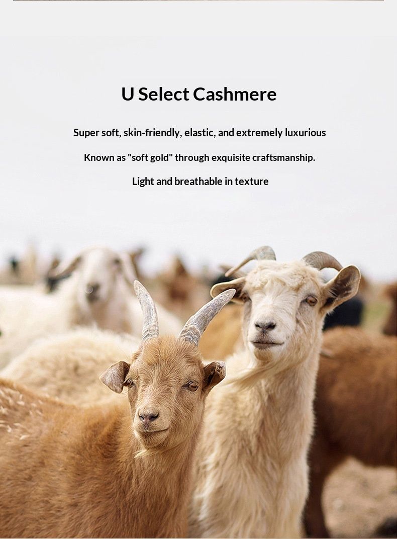 Pure Autumn Winter New Cashmere Round Neck Pullover Loose Fit Large Size Wool Sweater Men's Base Layer_voghion.com