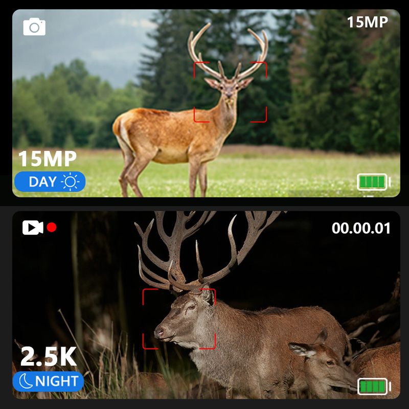 DT49 Nuovo binocolo HD per birdwatching, foto e video, portatile, per esterni, con visione notturna a colori e in condizioni di scarsa illuminazione_voghion.com