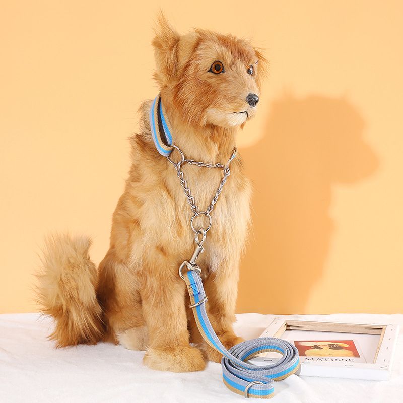 Leinenleine für Haustiere, Hunde, Katzen und Hunde – Trainingsleine, Zuggurt für große, mittlere und kleine Hunde_voghion.com