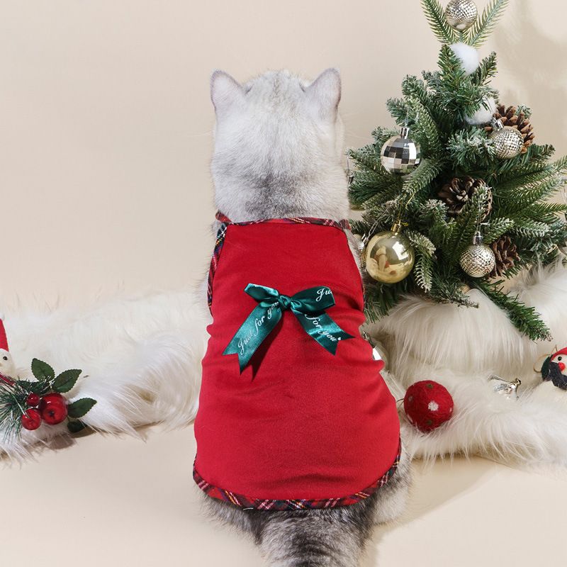 Hund Katze Halloween Haustier Kleidung Kürbis Transformation Kostüm Zauberer_voghion.com