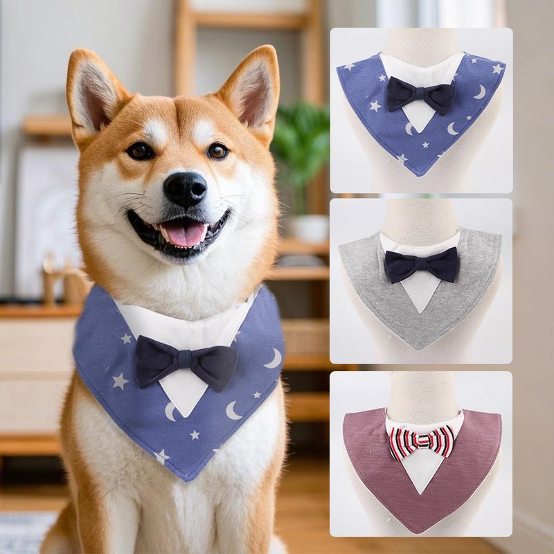 Costume pour chien, cravate, nœud papillon, collier, écharpe triangulaire, joli animal de compagnie, serviette imperméable d'extérieur pour bave_voghion.com