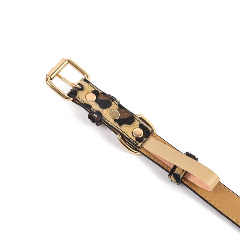 Neu Leopard Print Pet Einstellbare PU Katze Kleine Und Mittlere Hunde Im Freien_voghion.com