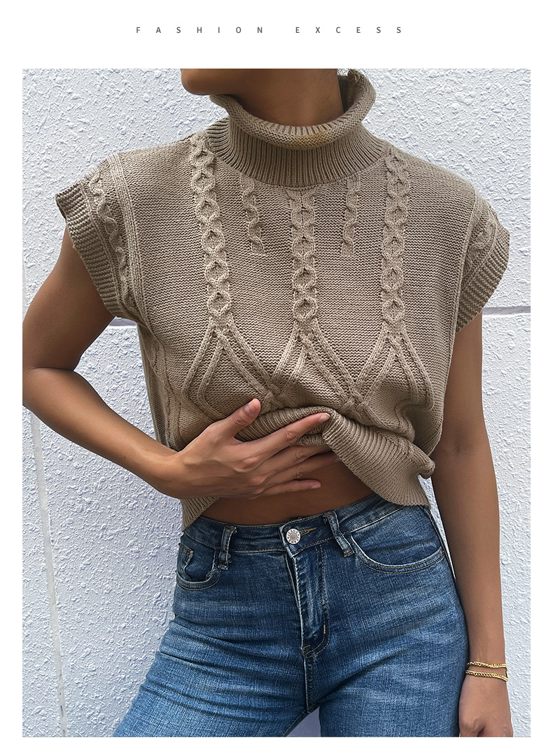 Damenbekleidung Mode Damenbekleidung einfarbig Kurzarm-Rollkragenpullover_voghion.com