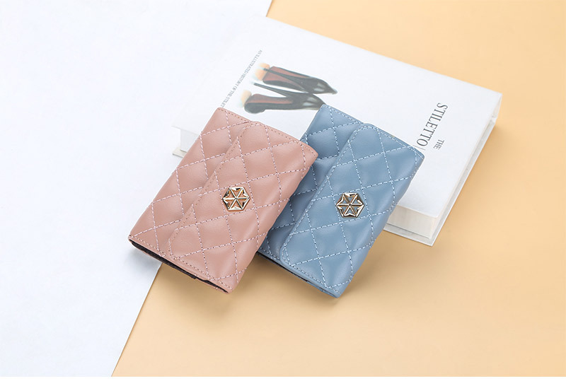 Boiseen New Women's Card Bag Embossed Multi Card Slot Accordion Coin Purse Small Buckle Wallet_voghion.com
