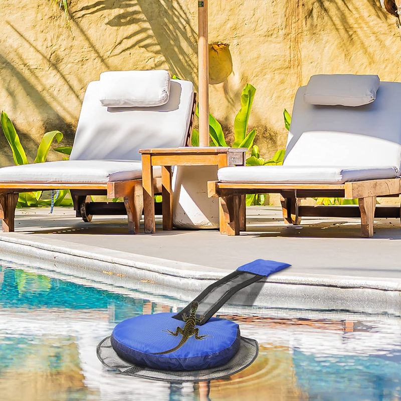 Schwimmen Pool Kleine Frosch Vogel Net Tier Outdoor Flucht Rettungs Kanal_voghion.com