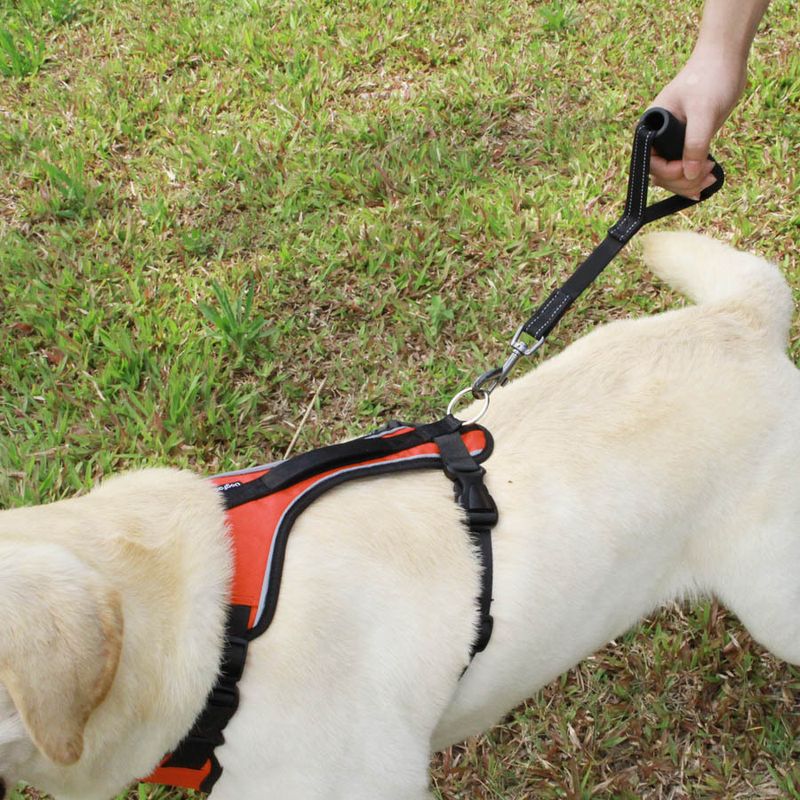 Pet One-Step Medium And Large Dogs 30cm With Handle Leash Reflective Dog Rope_voghion.com