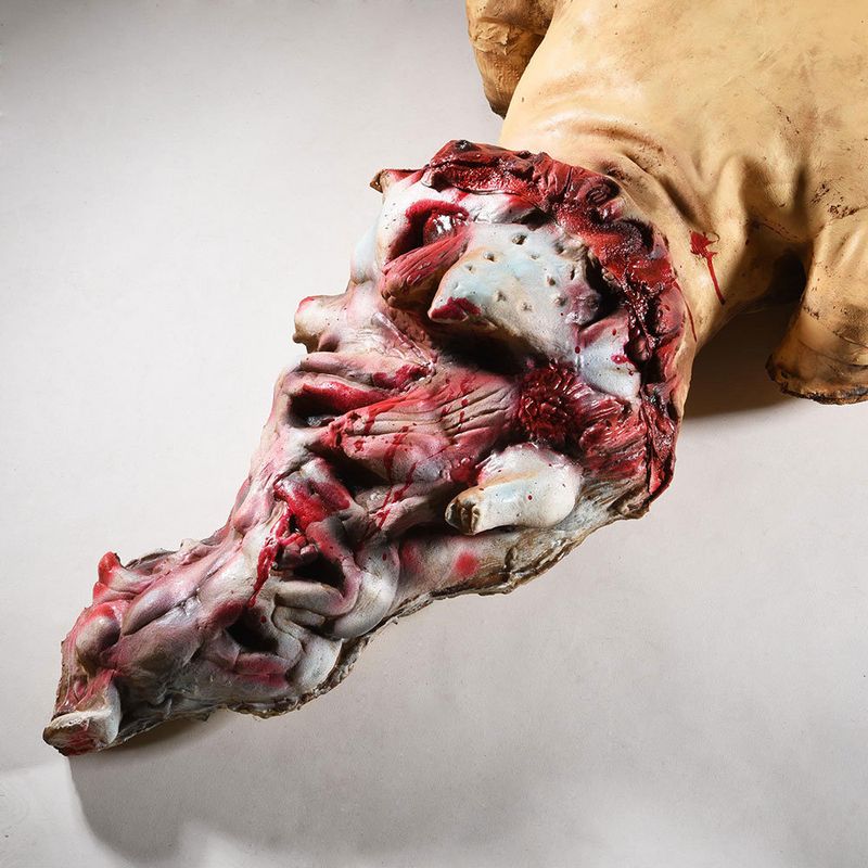 Plastic SkeletonPlastic Skeleton_voghion.com