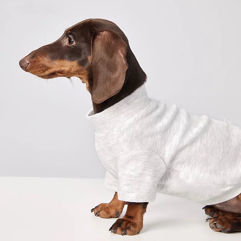 Vestiti per cani e gatti, resistenti al freddo, eleganti, dalla consistenza confortevole, caldi per l'autunno e l'inverno, per bassotti Bichon Frise_voghion.com
