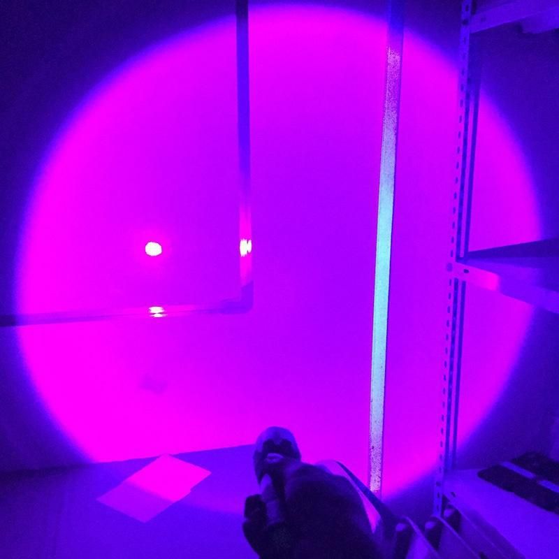 UV 395nm Flashlight Waterproof Zoomable USB Rechargeable UV Lamp for Pet Urine Black Light Inspection Ultraviolet Torchs_voghion.com