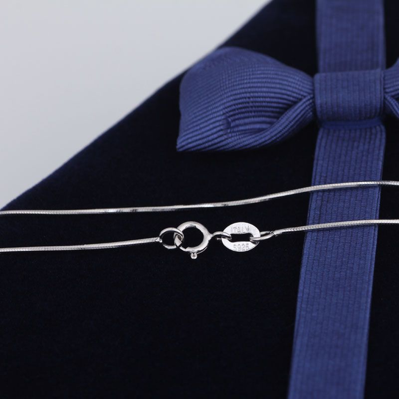 Versione coreana, catena coordinata minimalista con osso di serpente circolare corto per clavicola, da uomo e da donna_voghion.com