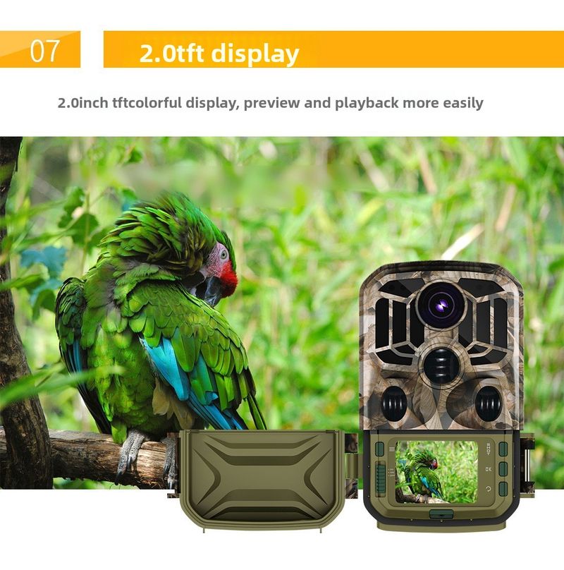 HD WiFi Outdoor Animal Monitoring Infrared Night Vision Tracking Hunting Camera_voghion.com