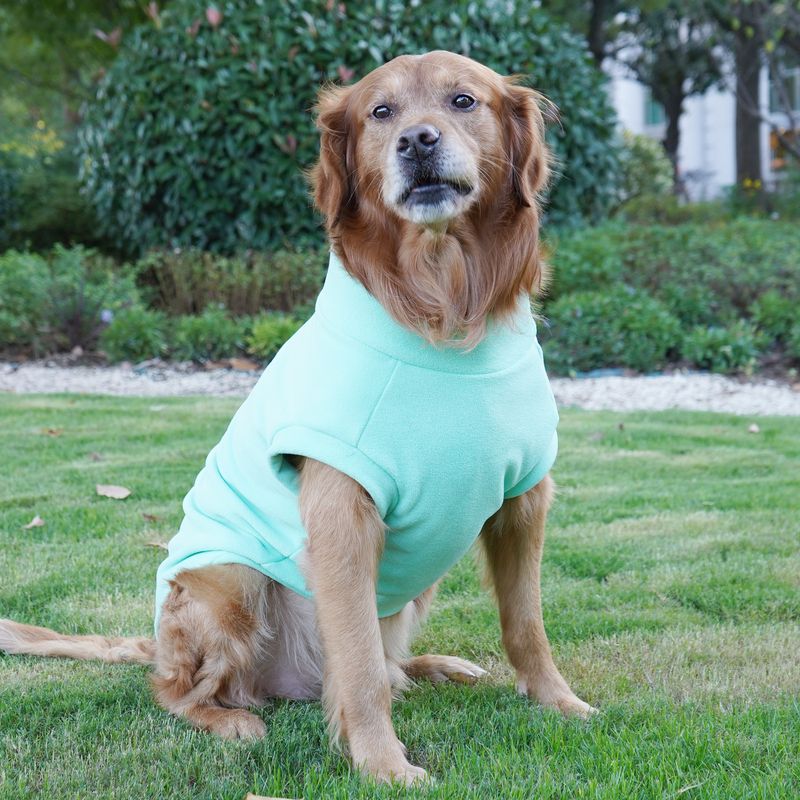 Es Labrador Golden Retriever Kleidung Große Hund Winter Warme Haustier Kleidung_voghion.com
