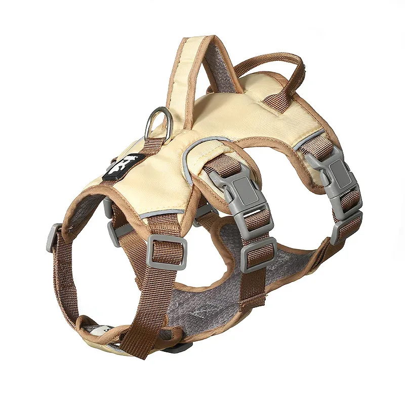 Guinzaglio antideflagrante resistente per cani di grossa taglia, Bulldog francese riflettente, Pastore_voghion.com