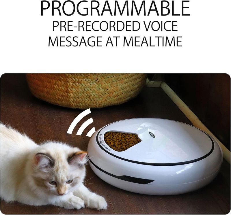 Mangeoire automatique pour chat à 5 repas, distributeur d'aliments humides ou secs pour animaux de compagnie, mangeoires automatiques pour animaux de compagnie avec minuterie, Futterautomat Katze, Futterautomat Katze Nassfutter, Wei_voghion.com