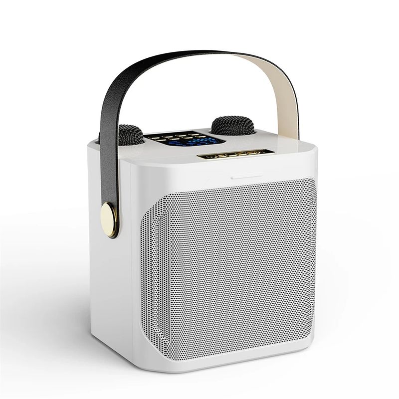 S882 Karaoke-apparaat met dubbele microfoons Verander stemfuncties Draagbare luidspreker Subwoofer TF-kaart U-schijfspeler voor_voghion.com