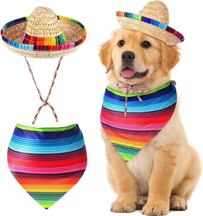 Set mit mexikanischem Hund, dreieckigem Strohhut und gestreiftem Schal_voghion.com