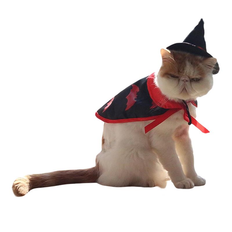 Costume di Halloween Mantello magico Gatto Cane Animale domestico Trasformazione Vestiti_voghion.com