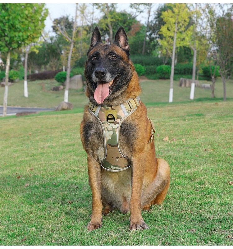Pet 2024 per cani di taglia media e grande, imbracatura tattica in stile gilet, guinzaglio per passeggiate con il cane_voghion.com