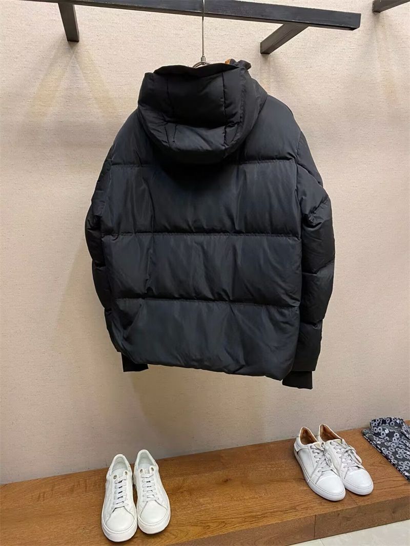 Minimalist Luxury Down Jacket For Men - 700FP Premium White Goose Down (86-90% Fill), Detachable Hood & Windproof Shell, Anti-Bacterial Lining_voghion.com