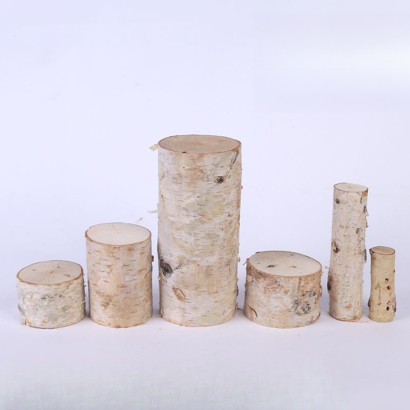 Tronc Segment naturel Souche d'arbre décorative solide Aménagement paysager Bouleau blanc Bois Pile Clôture Barrière Bûche Branche sèche_voghion.com