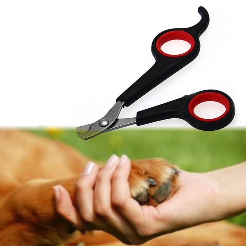 Nagelknipser für Haustiere, für kleine Tiere, Katzennagelknipser, Krallenschneider für die Fellpflege zu Hause, Set für kleine Hunde, Katzen, Hasen, Kaninchen, Vögel, Welpen, Kätzchen_voghion.com