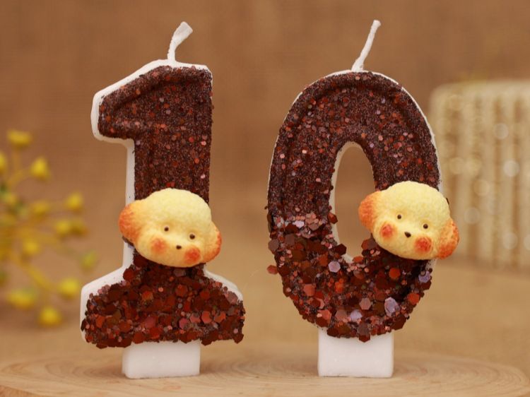 Decorazione per torta digitale a forma di testa di cane creativa, candela per il primo compleanno_voghion.com