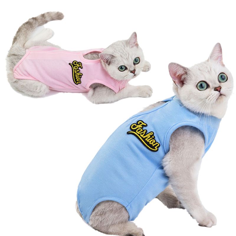 Stérilisation post-partum, chirurgie printanière et estivale, anti-léchage, sevrage, 19 vêtements pour chats_voghion.com