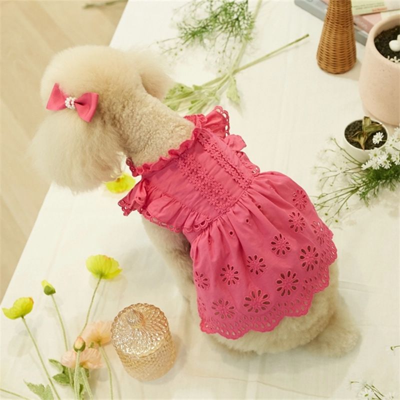 Vestito estivo da principessa con maniche a palloncino in pizzo per animali domestici 2025 per cani e gatti Teddy Bichon, vestiti sottili + copricapo_voghion.com