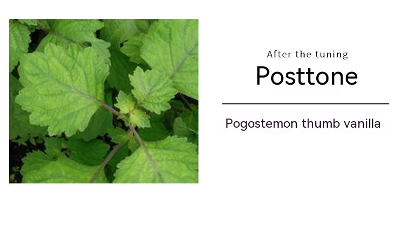 2024. aasta uus parfüüm Klassikaline armastuse parfüüm RISSERS kaubamärgi naiste parfüüm Püsiv mustade lillede ja puuviljade parfüüm_voghion.com