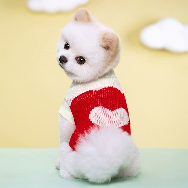 CDDMPET Winter-Wollpullover für Welpen und Kätzchen von PawParty Store_voghion.com
