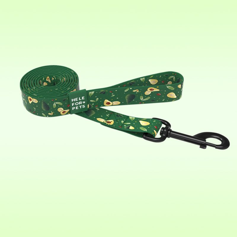 Nuovo design, set di guinzagli per cani con motivo avocado, collare regolabile per esterni_voghion.com
