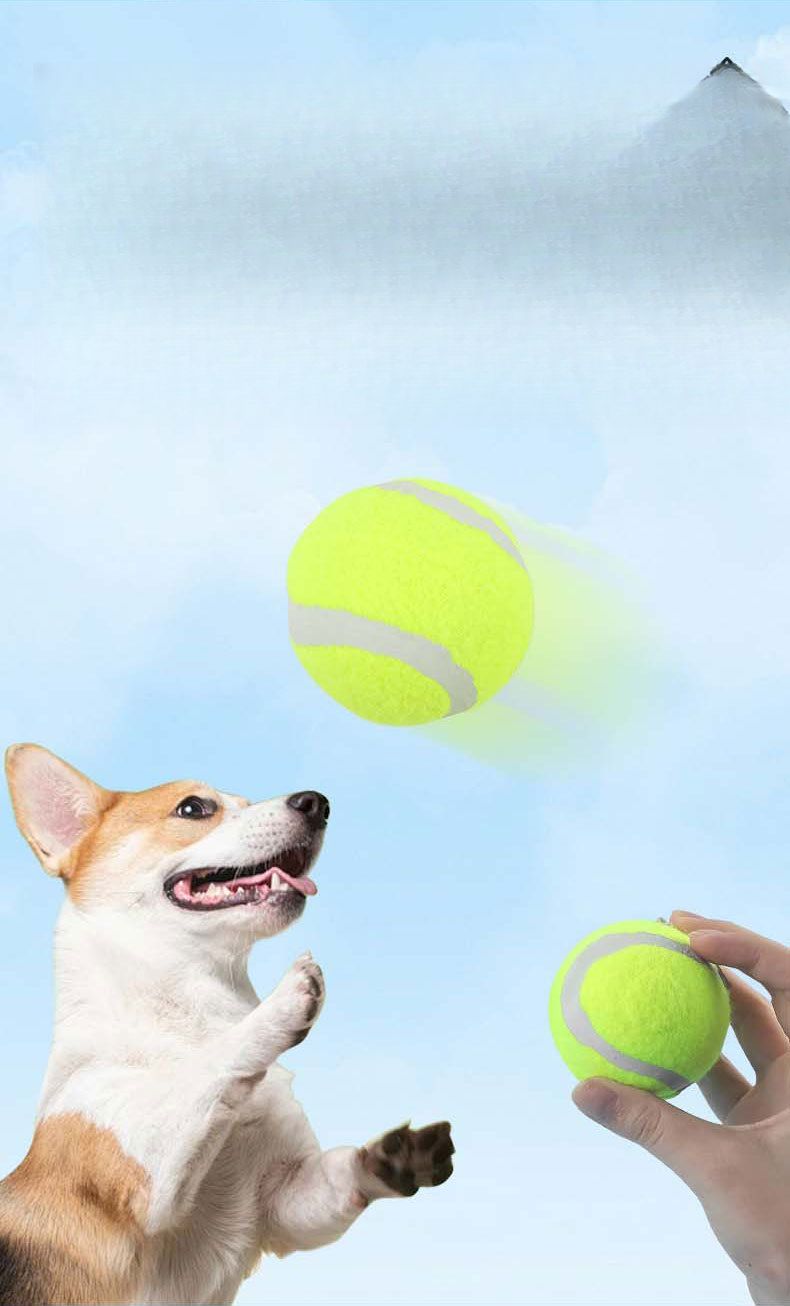 Elastic Tennis Large Medium Small Dog Chew Toy Rubber Training Ball Pet Supplies_voghion.com