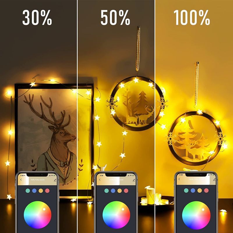 Home Furniture Smart Tuya Star Light String RGB Dual Mode Light String Atmosfera interna LED Filo di rame Wifi Light String USB Luce decorativa_voghion.com