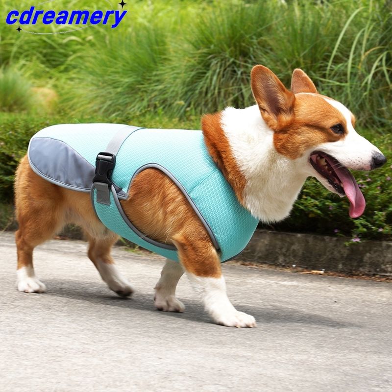 Summer Cooling Dog Vest, Breathable Mesh Jacket, Universal Outdoor Pet Cool Down Jacket For Dogs, Adjustable Cold Coat For Dogs_voghion.com