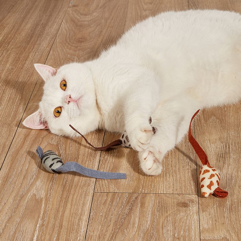 Kediler İçin Etkileşimli Tüy Oyuncağı Tongyue, PawParty Store'dan_voghion.com