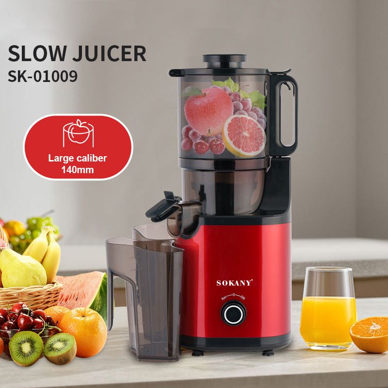 EU Standard Slow Juicer - Large Caliber Multi-Functional Household Juice Extractor 800W_voghion.com