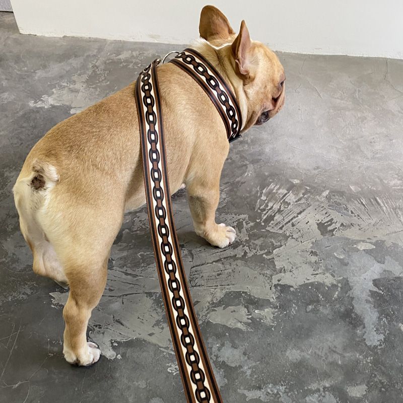 Pet Explosion-Proof Small Medium Large Collar Leash Big Dog Walking Chain_voghion.com