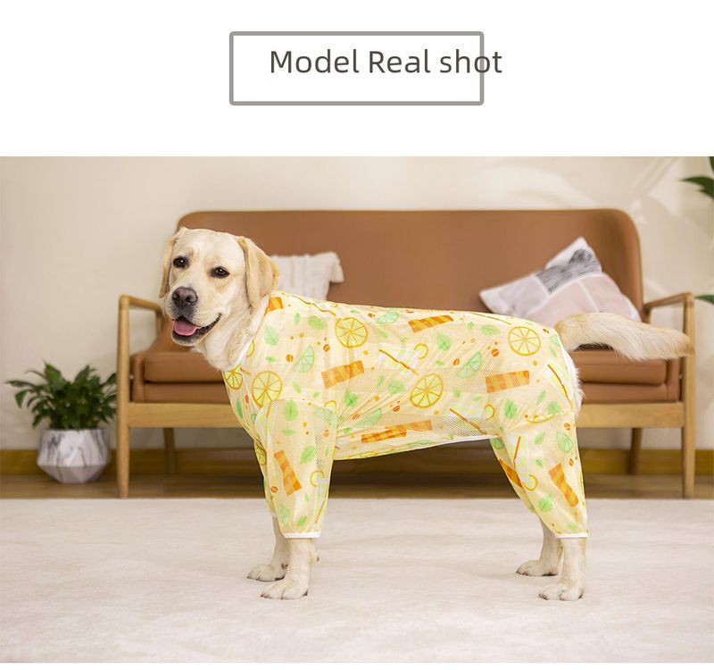Spring and Autumn Summer Mesh Print Labrador Dog Golden Retriever Medium and Large Dog Four-Legged Cross-Border Pet Dog Clothes_voghion.com