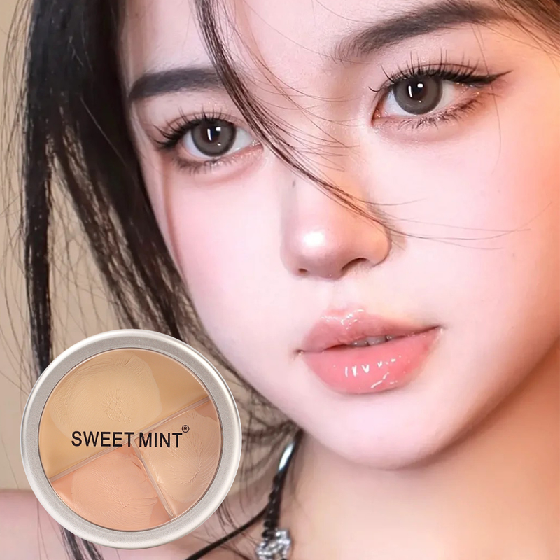 Concealer-Palette, wasserfeste Creme-Textur, deckt Akne-Markierungen, Augenringe, multifunktionales Make-up, langlebig, Bri ab_voghion.com