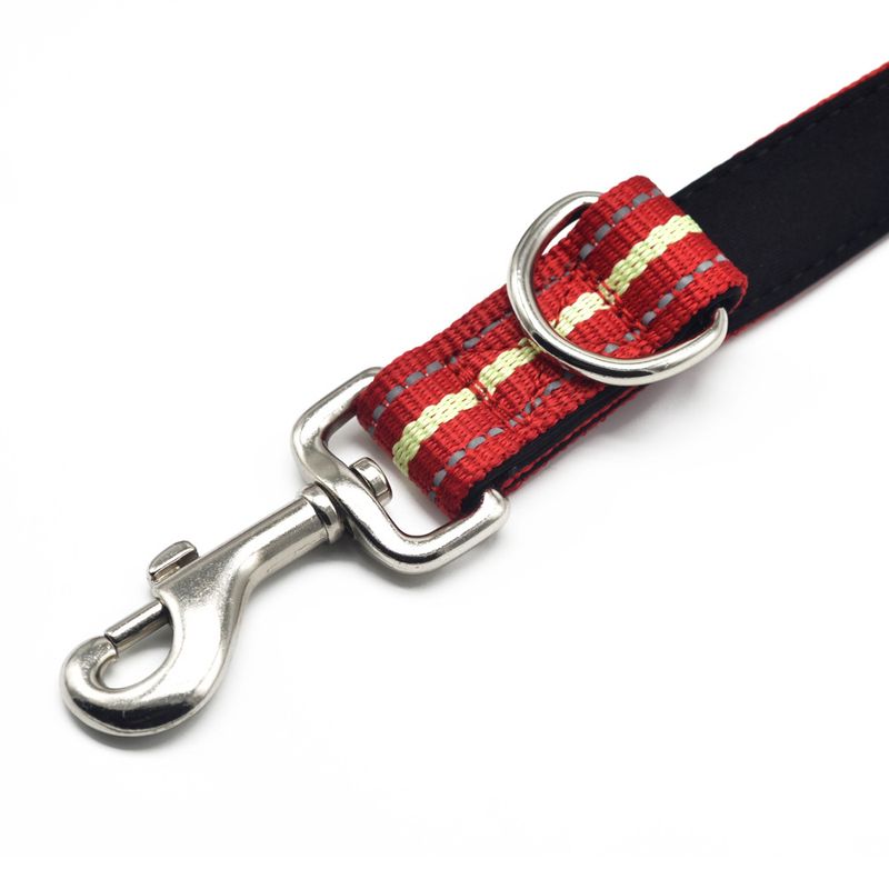 Pet Luminous Multi-Functional Leash Outdoor Sports Anti-Lost Small Dog_voghion.com