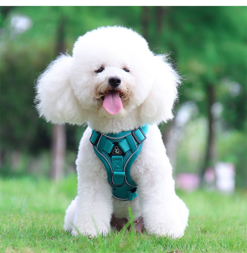 Pet Products Dog Traction Rope Vest Pet Cat Chest Harness Reflective Breathable Cat Walking Rope Puppy Rope_voghion.com