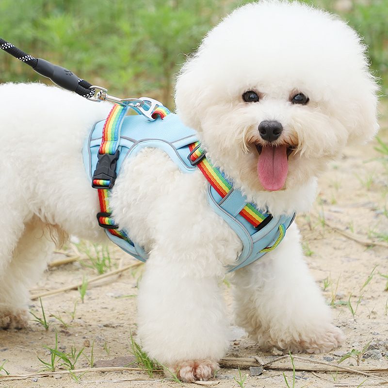 Coleira anti-fuga para cachorro, coleira de pelúcia para gato, colete para passear com cachorro, estilo bichon frisé, arnês para áreas externas_voghion.com
