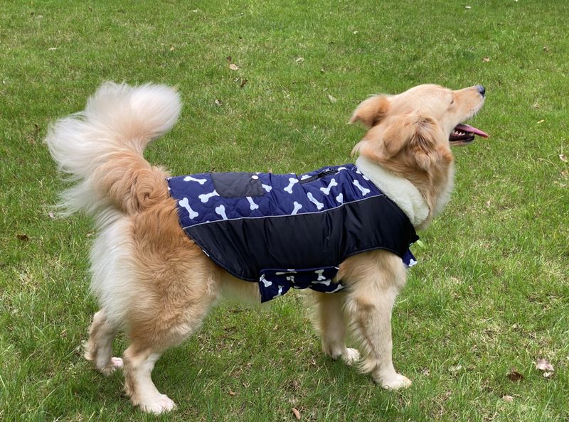 Pocket new pet clothes autumn and winter dog clothes vest cotton coat double sided wearable dog clothes coat clothing_voghion.com