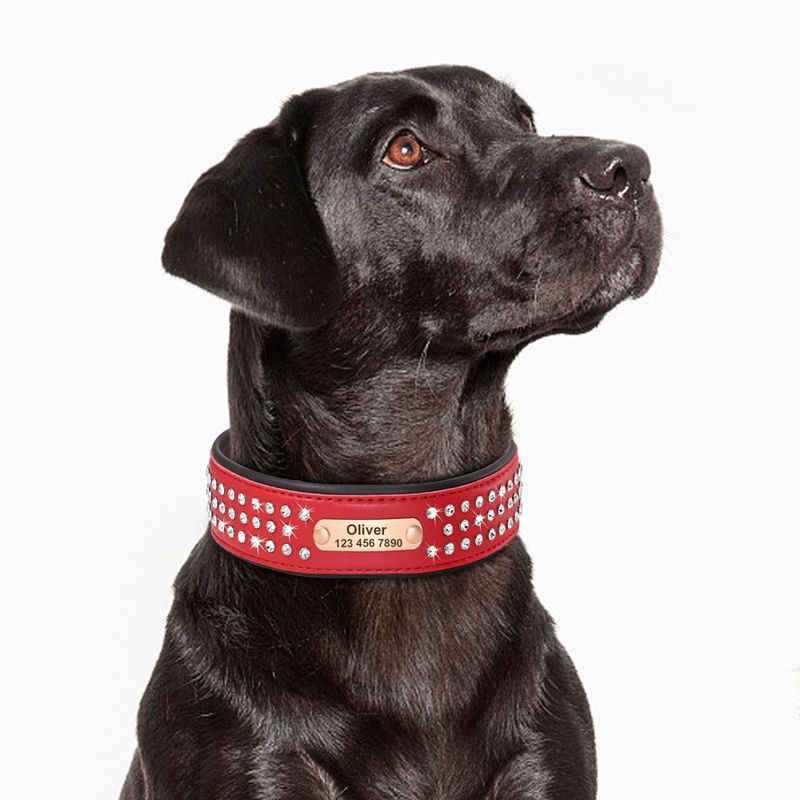 Beirui Leather Dog Collar With Rhinestones_voghion.com
