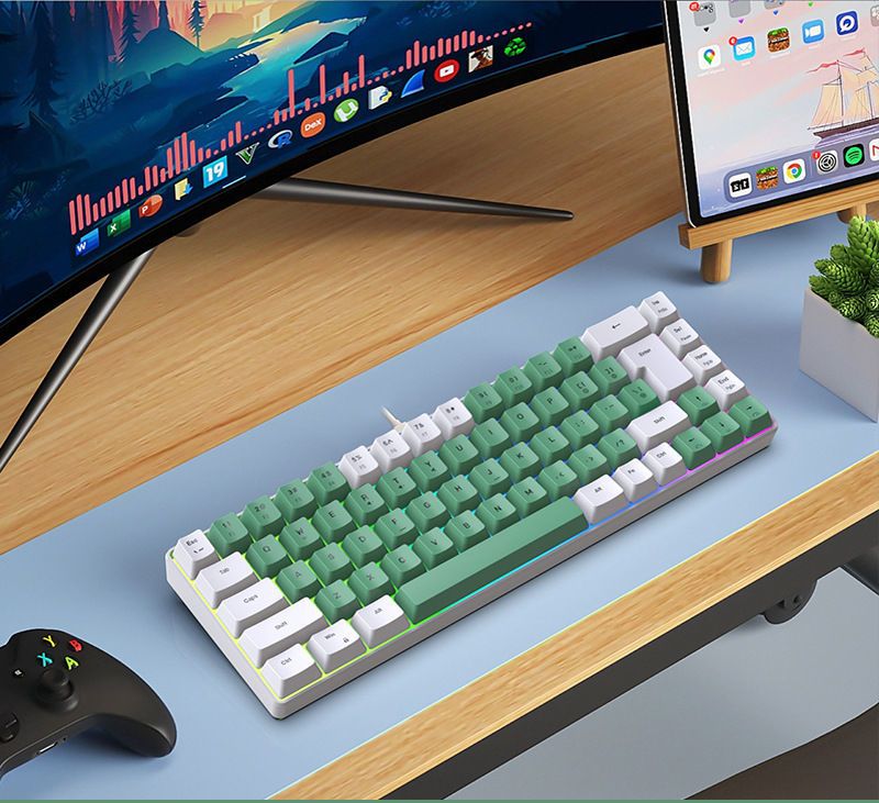 87-key Wired Gaming Keyboard Cool Mechanical Feel, RGB Colorful Lighting, Compatible With Computers, Laptops, And USB_voghion.com